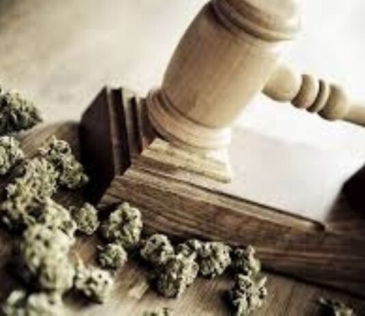 STJ define que cheiro de maconha permite revista de pessoa, mas não busca em residência