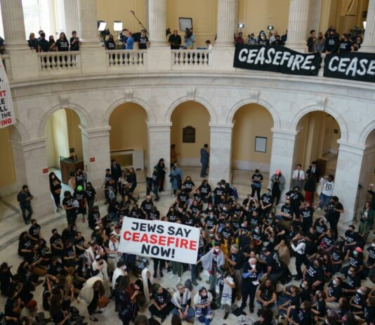 EUA têm manifestação anti-Israel feitas por “judeus de esquerda” com invasão do Capitólio e 300 pessoas presas