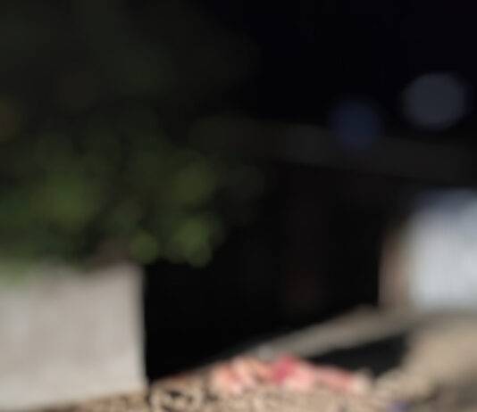 Pandemia da Bala: Chacina em Maranguape deixa 4 pessoas mortas, entre elas uma grávida