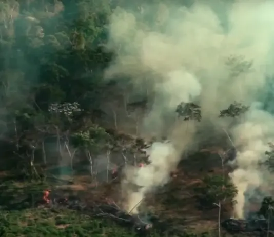 Em meio ao governo Lula Amazônia tem alta de 286% nos focos de queimadas em fevereiro