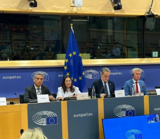 No Parlamento Europeu, oposição defende liberdade de expressão