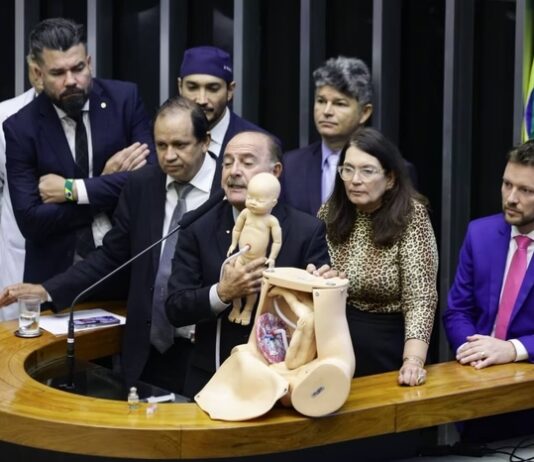 Deputado faz demonstração de aborto em sessão: “Feticídio”
