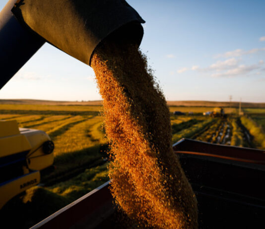 Chuvas no RS elevam preços de arroz, embutidos e carnes no Ceará