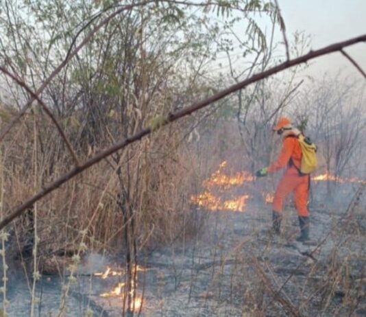 Entre janeiro e agosto, Ceará teve aumento de 23,5% nos registros de focos de incêndio em 2024