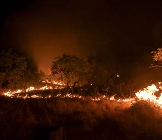 Queimadas na Amazônia atingem pior número dos últimos 17 anos