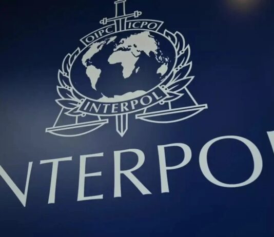 Interpol se recusa a inserir envolvidos no 8 de janeiro na lista vermelha