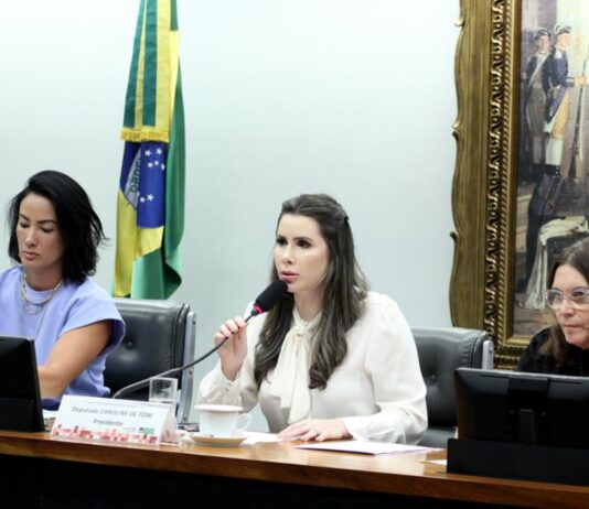 CCJ aprova versão final de PL que limita decisões do STF