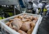 Preço médio da carne de frango atinge maior nível em dois anos