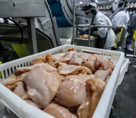 Preço médio da carne de frango atinge maior nível em dois anos