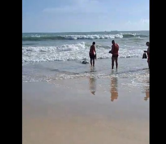Em três dias, Barra do Ceará registra dois homicídios e um achado de cadáver
