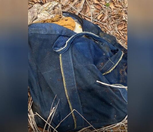 Mochila com braços e pernas humanas é encontrada às margens de rodovia no Interior do Ceará
