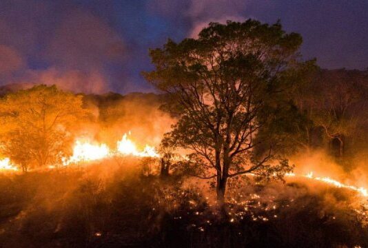 Brasil registra em 2024 aumento de 79% de áreas queimadas