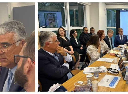 Senador Eduardo Girão denuncia as violações do STF em reunião com o relator do órgão de direitos humanos da OEA