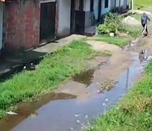 Idoso de 74 anos é morto covardemente por denunciar criminosos em Maracanaú
