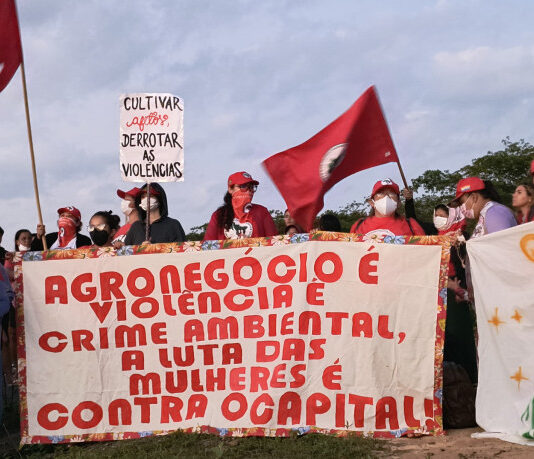 MST invade área do Perímetro Irrigado Tabuleiro de Russas em Limoeiro do Norte