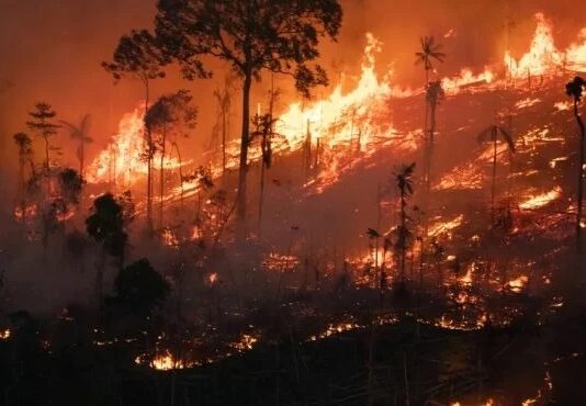 Em pleno governo Lula, a degradação florestal da Amazônia em 2025 cresce quase 500%.