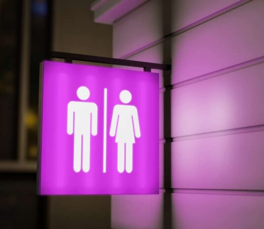 MPF diz que restringir banheiros a pessoas trans é inconstitucional