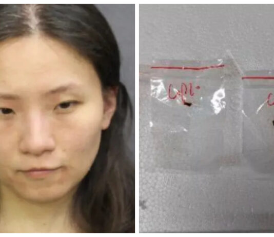 FBI prende chinesa por levar fungo capaz de destruir lavouras e envenenar alimentos para os EUA