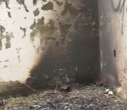 Corpo carbonizado é encontrado em Messejana