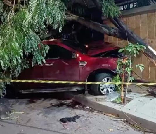 Cocaína e remédios são encontrados no carro de empresário que matou jovem atropelado no Meireles