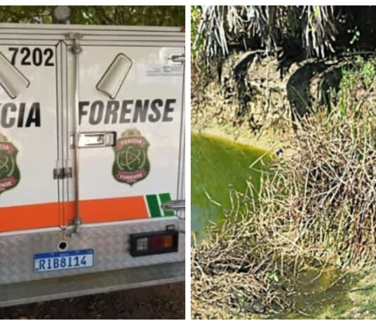 Dois crânios humanos são encontrados à margem da estrada na Região Metropolitana de Fortaleza