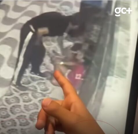 Crianças são atacadas e têm celular roubado por bandido em Fortaleza