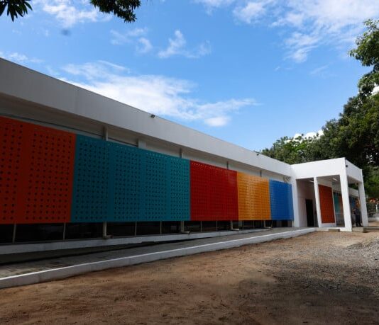 Quase 30 mil aguardam diagnósticos de autismo, TDAH e outros transtornos em Fortaleza