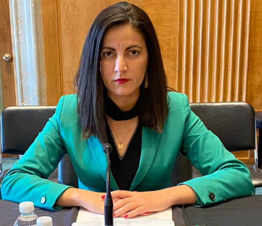 Aliada de Trump é eleita para comissão da OEA que analisa caso do STF