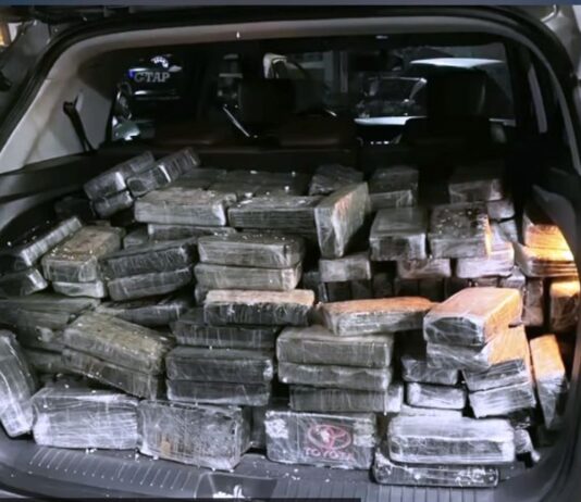 Justiça solta homem preso com 224 kg de cocaína avaliada em R$ 7 milhões em SP