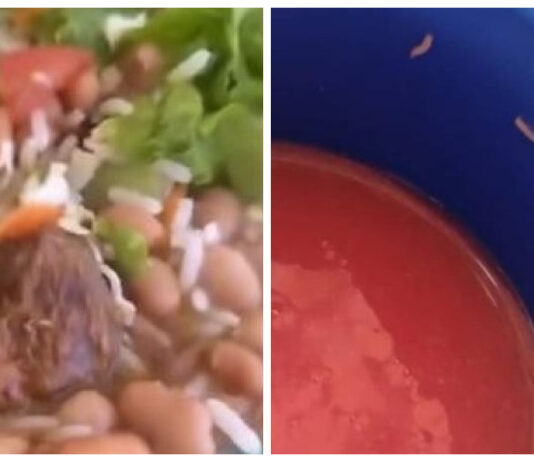 Pela 2ª vez em uma semana, estudantes denunciam presença de carne estragada e larvas nas merendas de escola em Fortaleza.