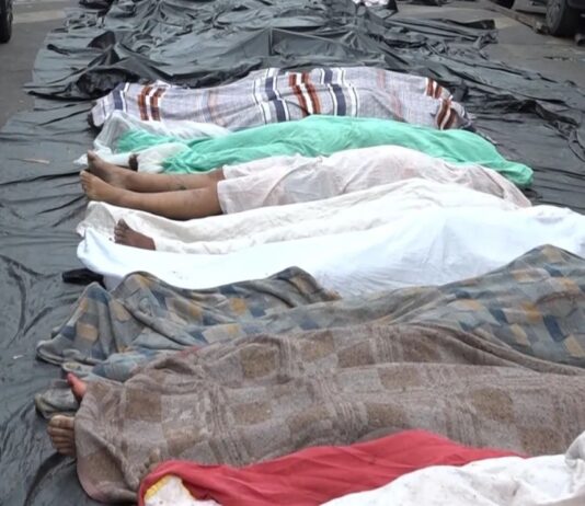 Polícia diz que pessoas que tiraram corpos de mata serão investigadas