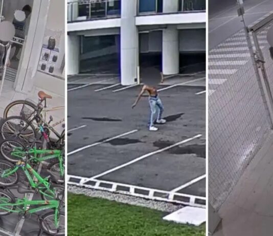 Após governo proibir vídeos expondo criminosos, furtos batem recorde em lojas da Havan