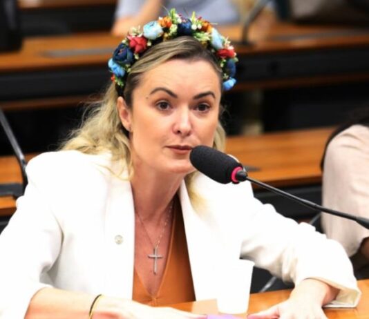 Deputada propõe punição para denúncia falsa de violência doméstica