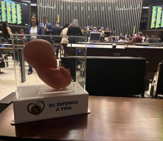 Vitória da vida: Câmara aprova decreto legislativo que acaba com facilitação de aborto em menores de 14 anos.