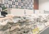 Ceará está entre os estados que mais produz cocaína no país