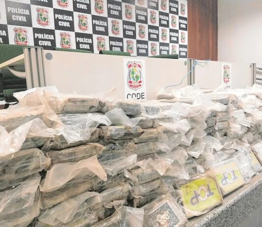 Ceará está entre os estados que mais produz cocaína no país