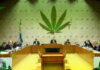 STF forma maioria contra lei que proíbe marcha da maconha