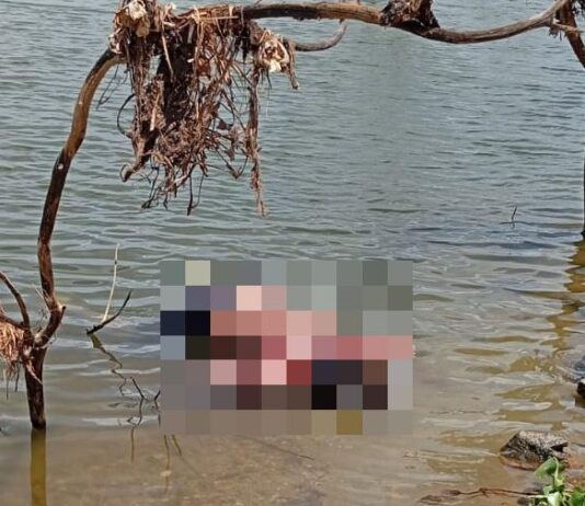 Secretária de segurança pública do Ceará reconhece chacina 16 dias depois de ela ocorrer.