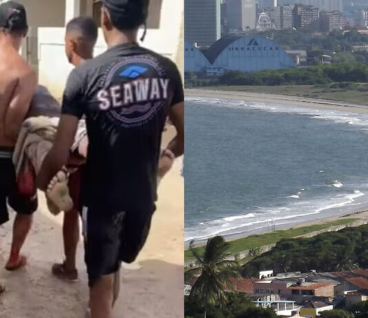 Adolescente morre após ser mordido por tubarão em Olinda