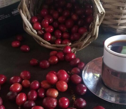 Preços altos derrubam consumo de café no Brasil em 2025.