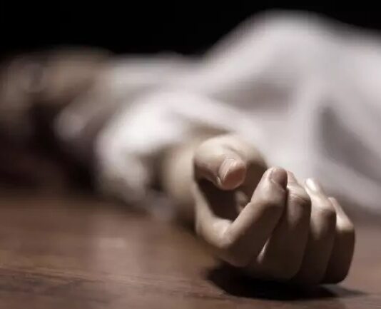 Em pleno governo Lula, Brasil bate recorde de feminicídios em 2025; média foi de 4 mortes por dia.