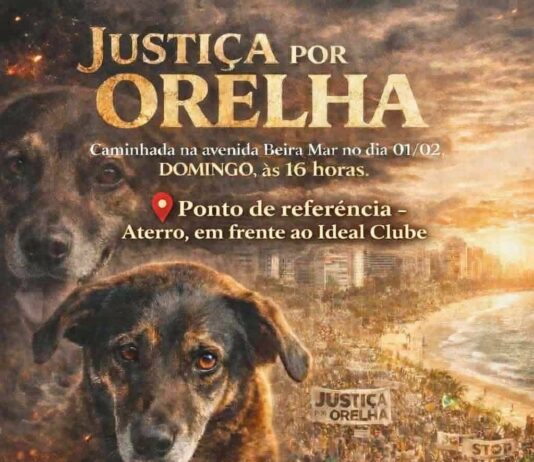 Justiça por Orelha: caminhada ocorre nesse domingo (01) na Praia de Iracema às 16 horas.