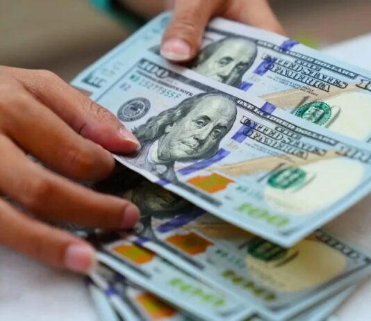 Brasil tem a 2ª maior saída de dólares da história em 2025.