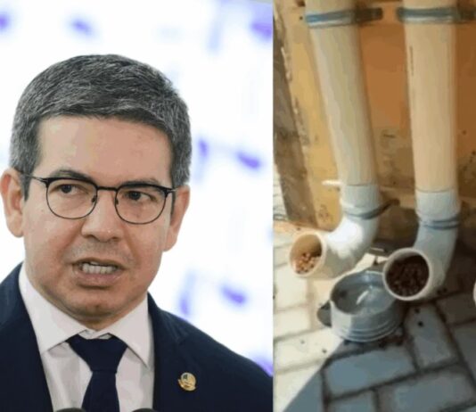 Comedouro para cães inaugurado por Randolfe vai parar no MP