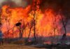 Brasil tem 4.571 focos de incêndio em janeiro, alta anual de 45,7%.