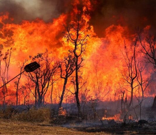 Brasil tem 4.571 focos de incêndio em janeiro, alta anual de 45,7%.