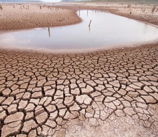 68 cidades voltam a registrar seca extrema e Ceará tem pior cenário em 7 anos.