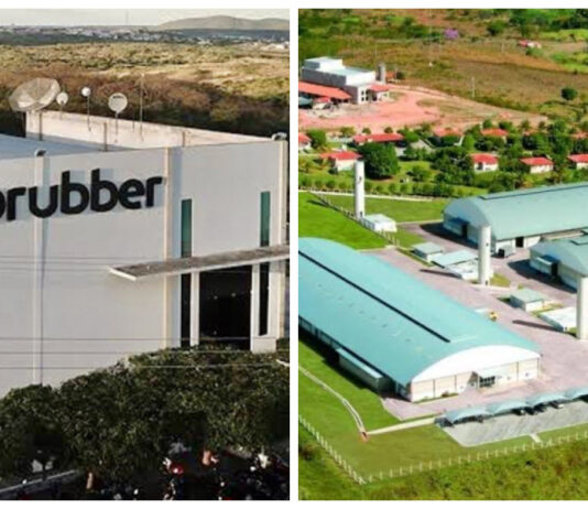 Crise no Ceará: 89 fábricas de calçados fecharam no estado nos últimos 10 anos.