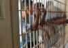 216 adolescentes presos em centros socioeducativos de Fortaleza regularizam o título de eleitor.