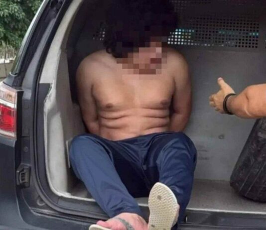 Homem é preso em Fortaleza por matar mais de 100 animais e transmitir maus-tratos ao vivo